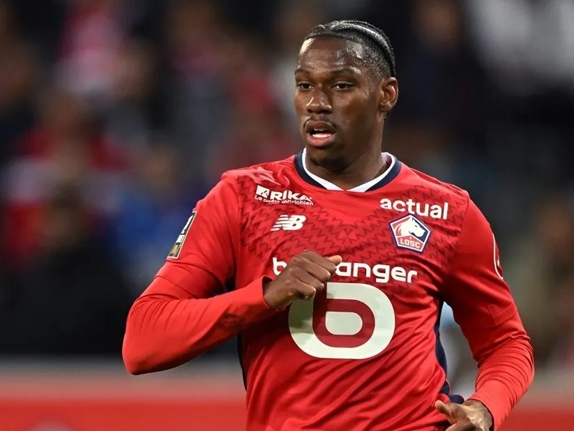 灰熊距离重 灰熊距离重